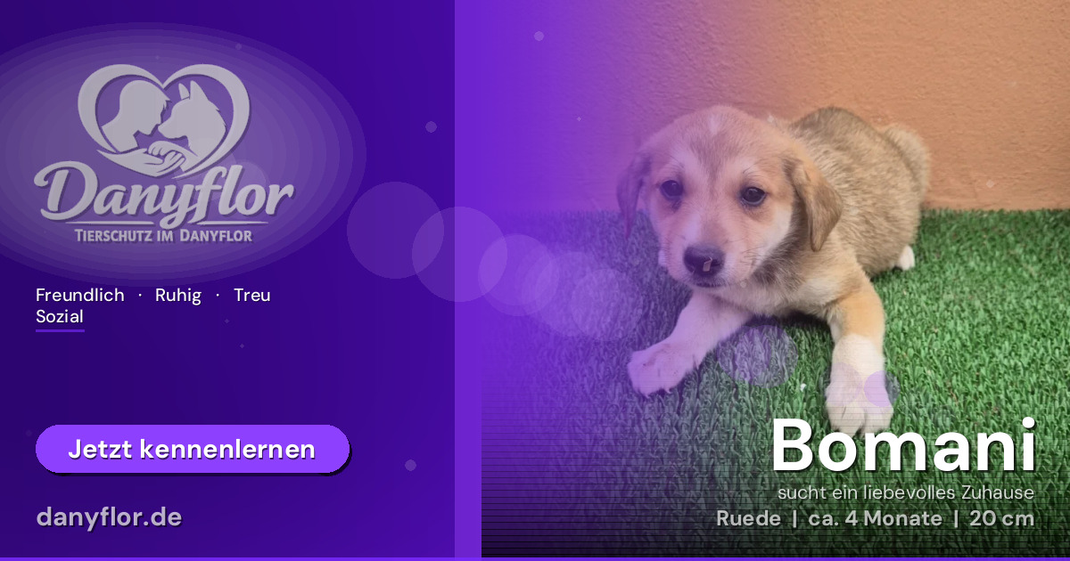 Facebook-Bild für Bomani