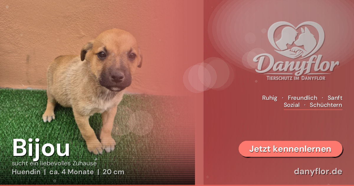 Facebook-Bild für Bijou