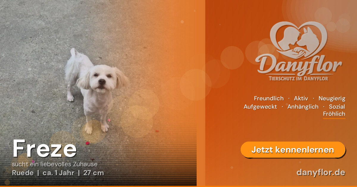 Facebook-Bild für Freze