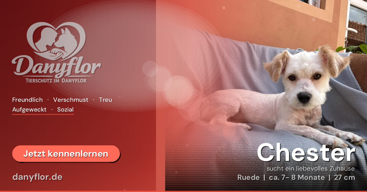 Facebook-Bild für Chester