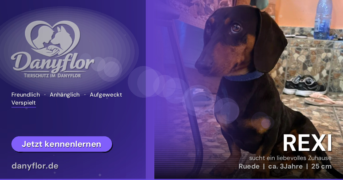 Facebook-Bild für REXI