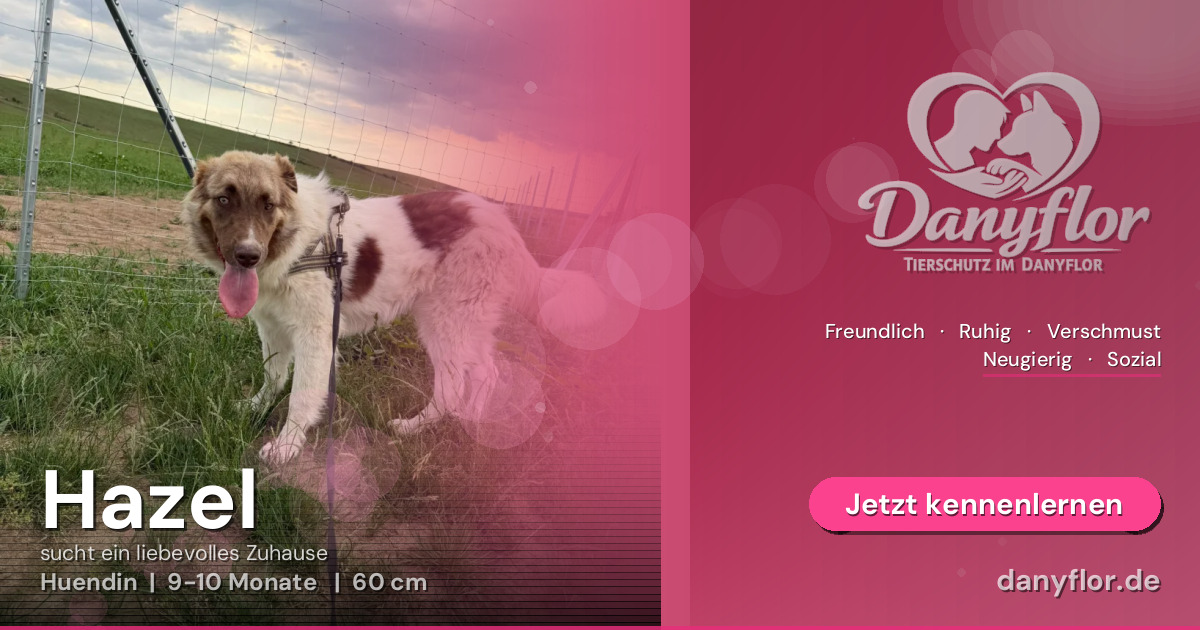 Facebook-Bild für Hazel