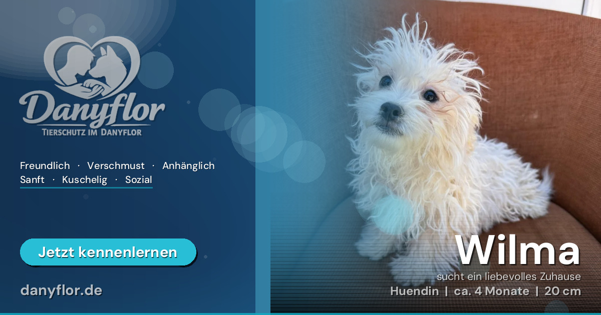 Facebook-Bild für Wilma