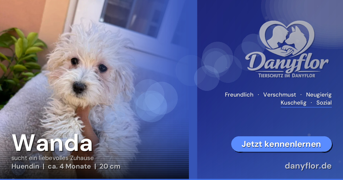 Facebook-Bild für Wanda