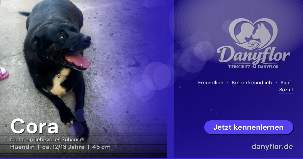 Facebook-Bild für Cora