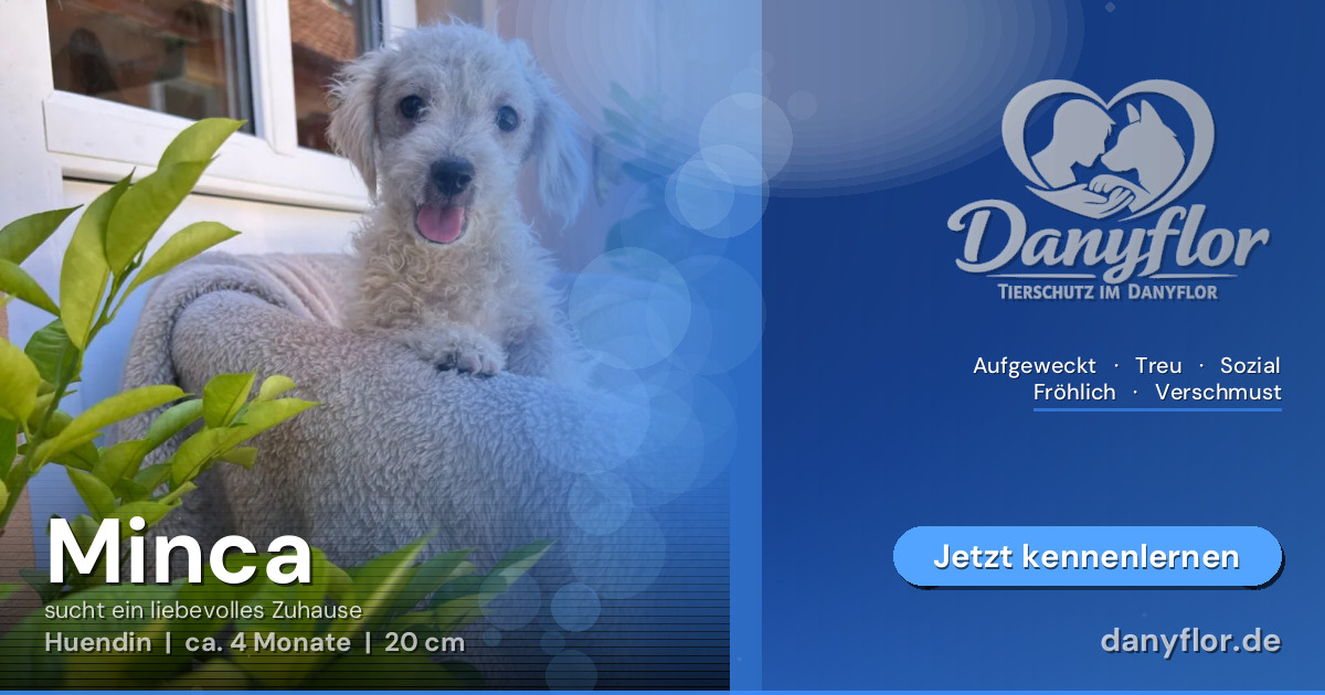 Facebook-Bild für Minca