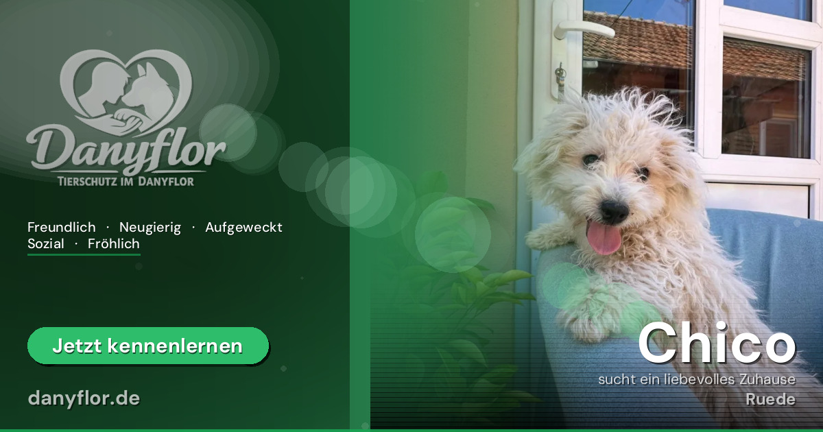 Facebook-Bild für Chico