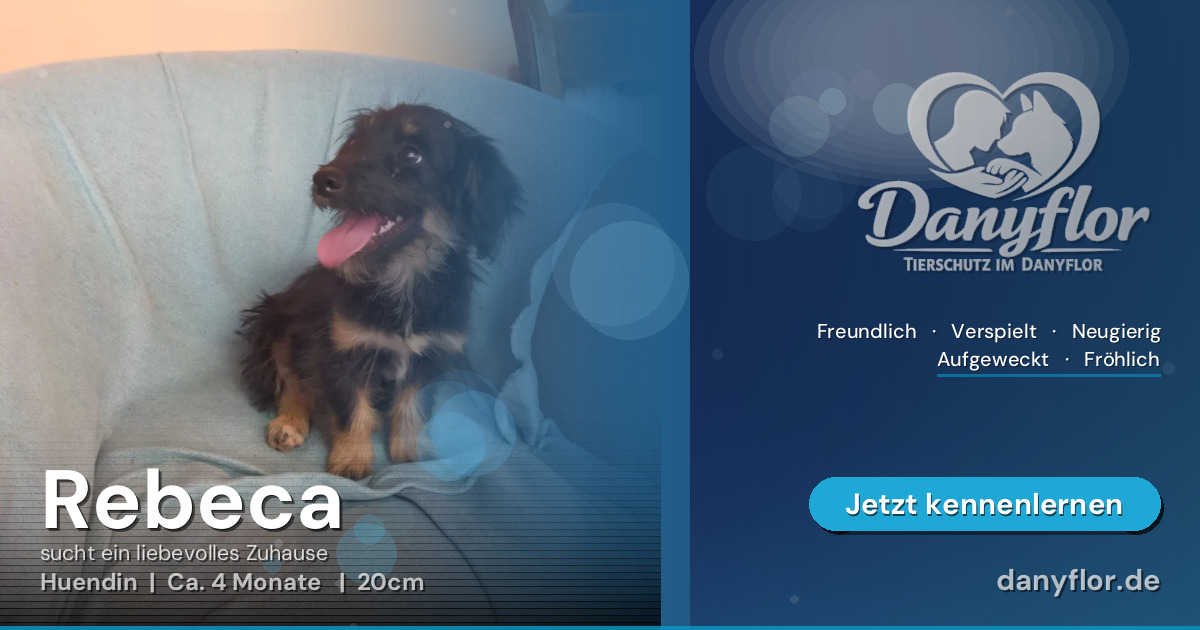 Facebook-Bild für Rebeca