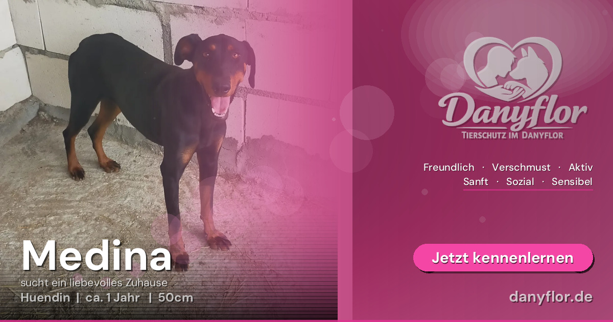 Facebook-Bild für Medina 
