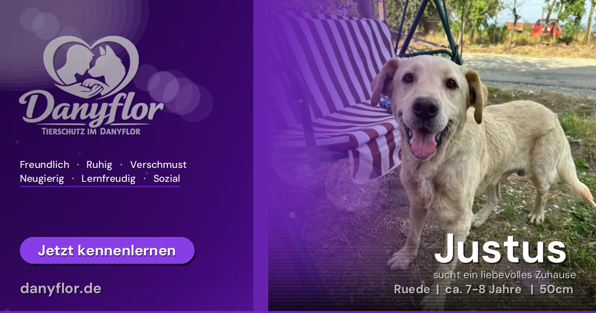 Facebook-Bild für Justus 