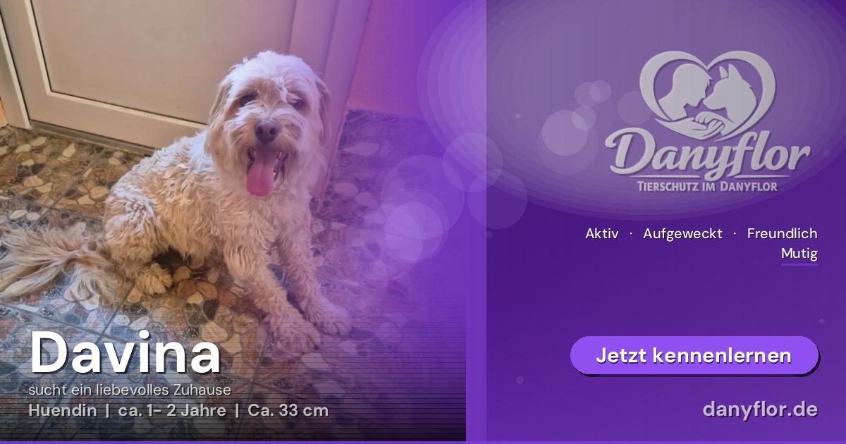 Facebook-Bild für Davina
