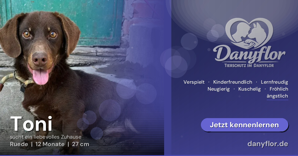 Facebook-Bild für Toni