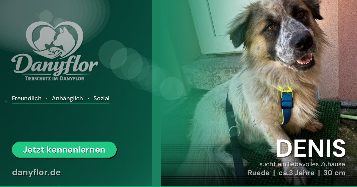 Facebook-Bild für DENIS