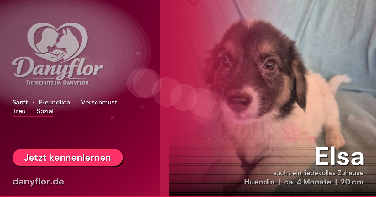 Facebook-Bild für Elsa