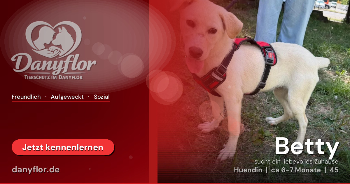 Facebook-Bild für Betty