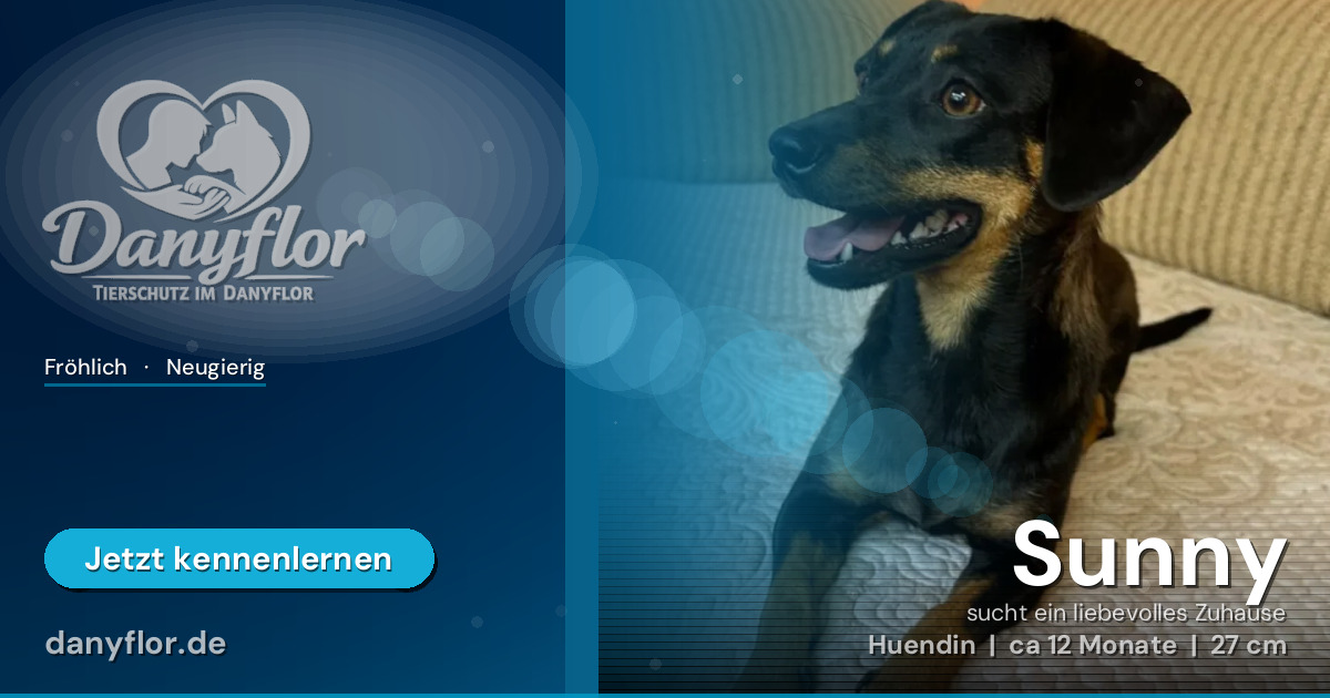Facebook-Bild für Sunny