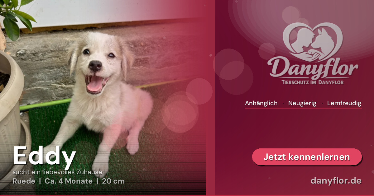 Facebook-Bild für Eddy