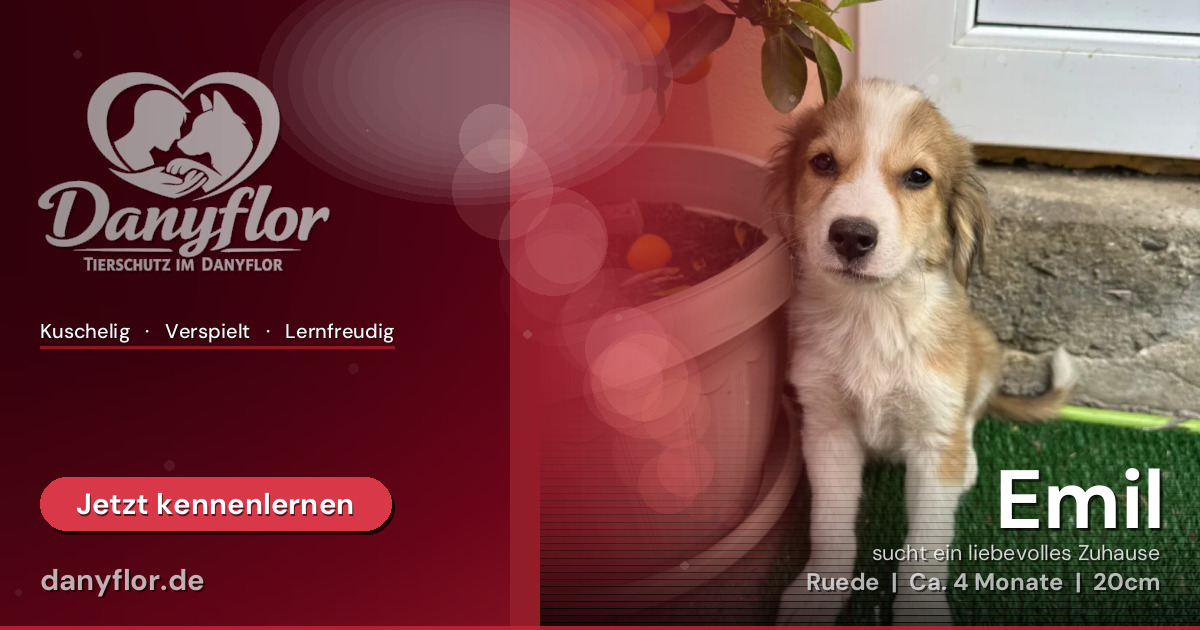 Facebook-Bild für Emil
