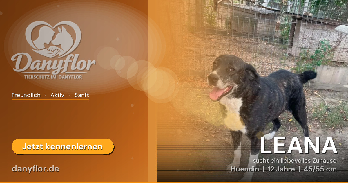 Facebook-Bild für LEANA