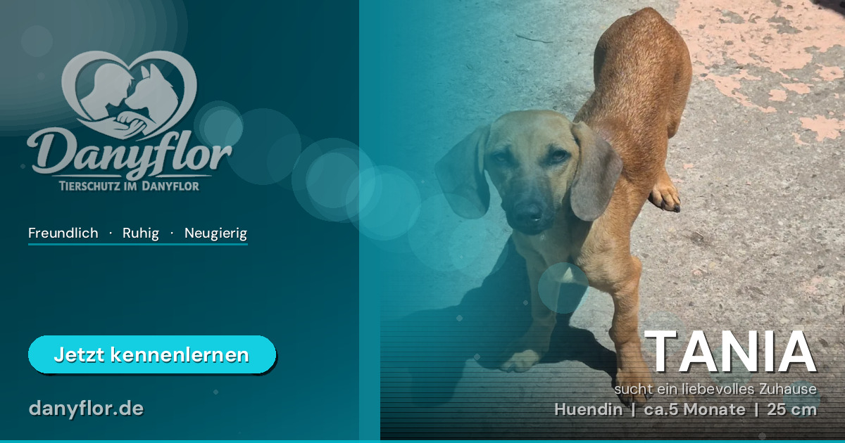 Facebook-Bild für TANIA