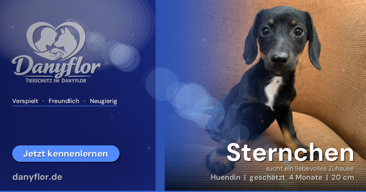 Facebook-Bild für Sternchen