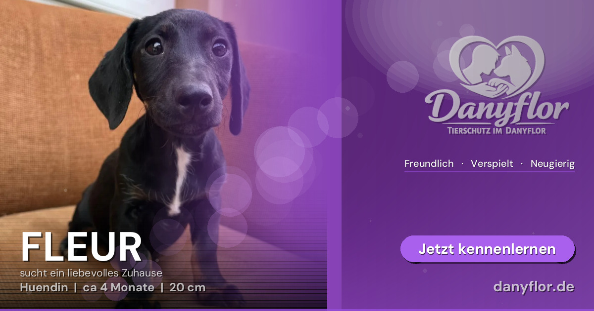 Facebook-Bild für FLEUR