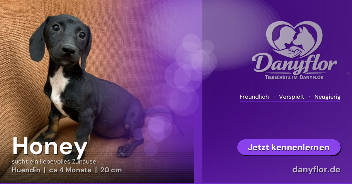 Facebook-Bild für Honey