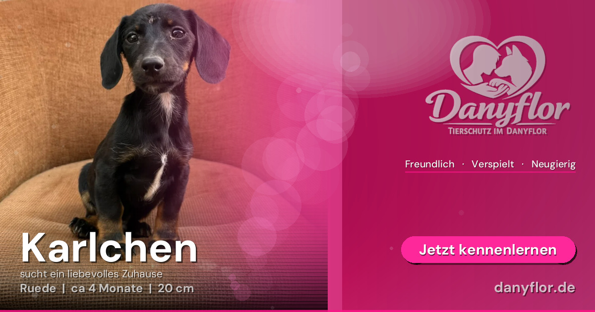 Facebook-Bild für Karlchen