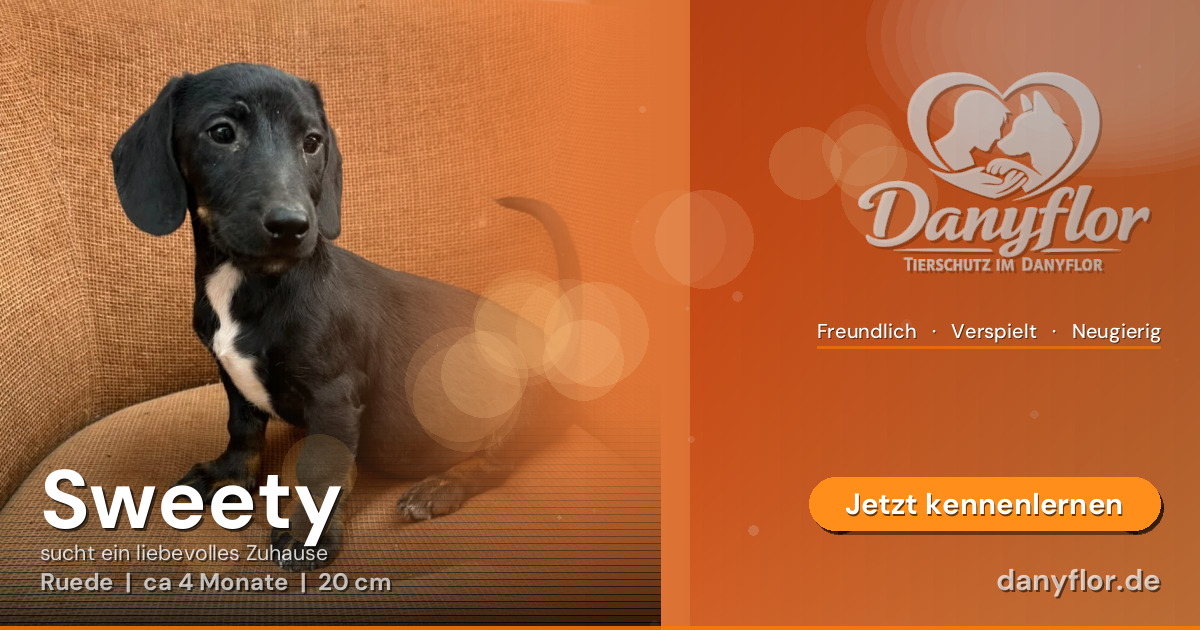 Facebook-Bild für Sweety