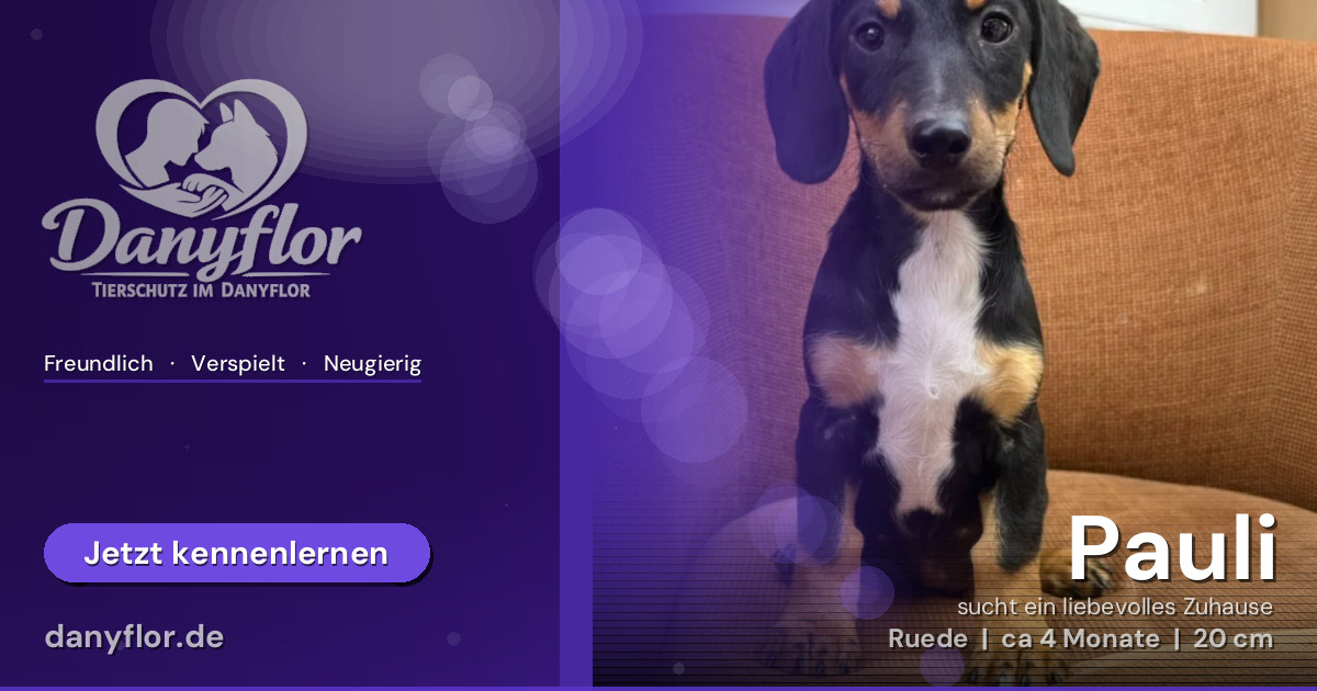 Facebook-Bild für Pauli