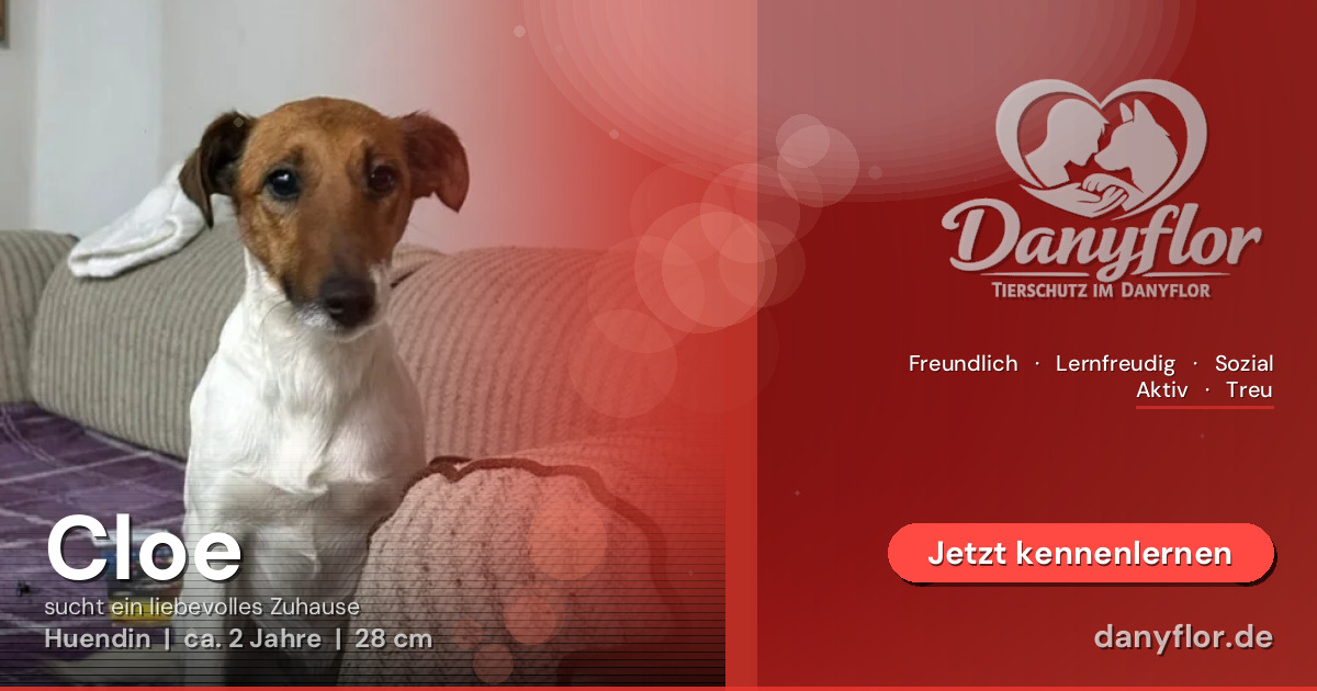 Facebook-Bild für Cloe