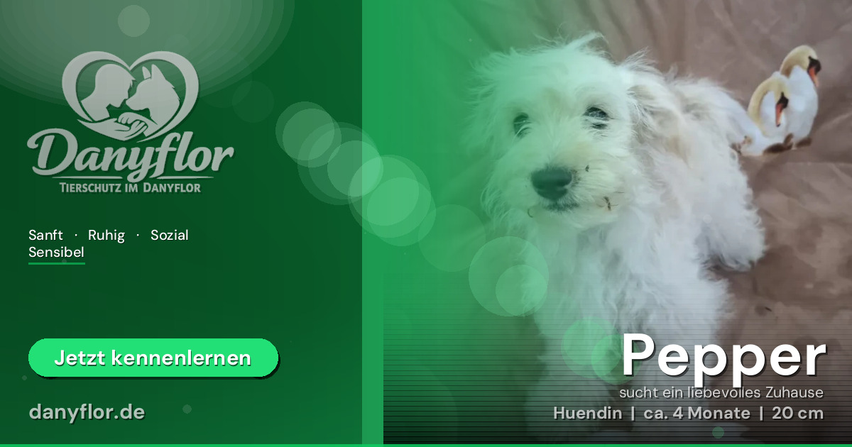 Facebook-Bild für Pepper