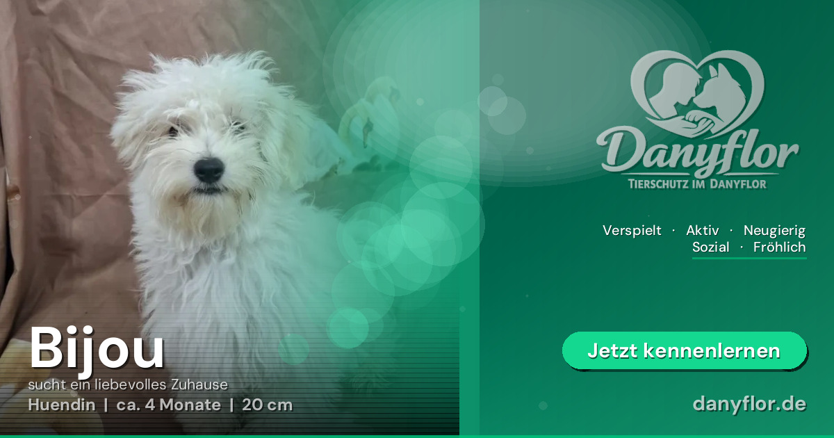 Facebook-Bild für Bijou