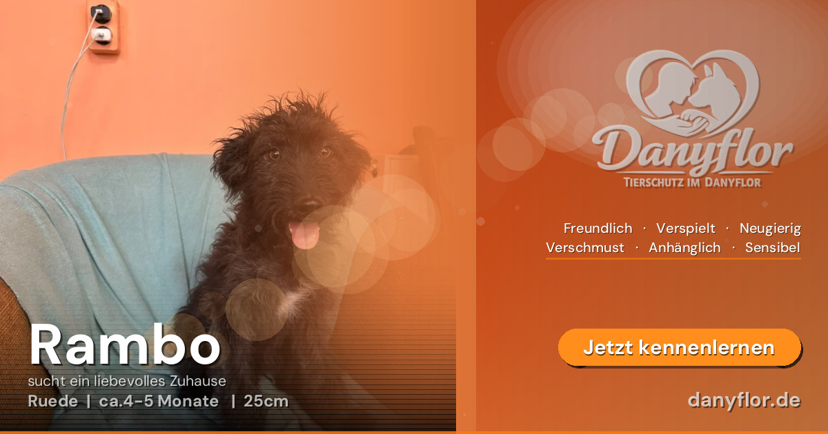 Facebook-Bild für Rambo 