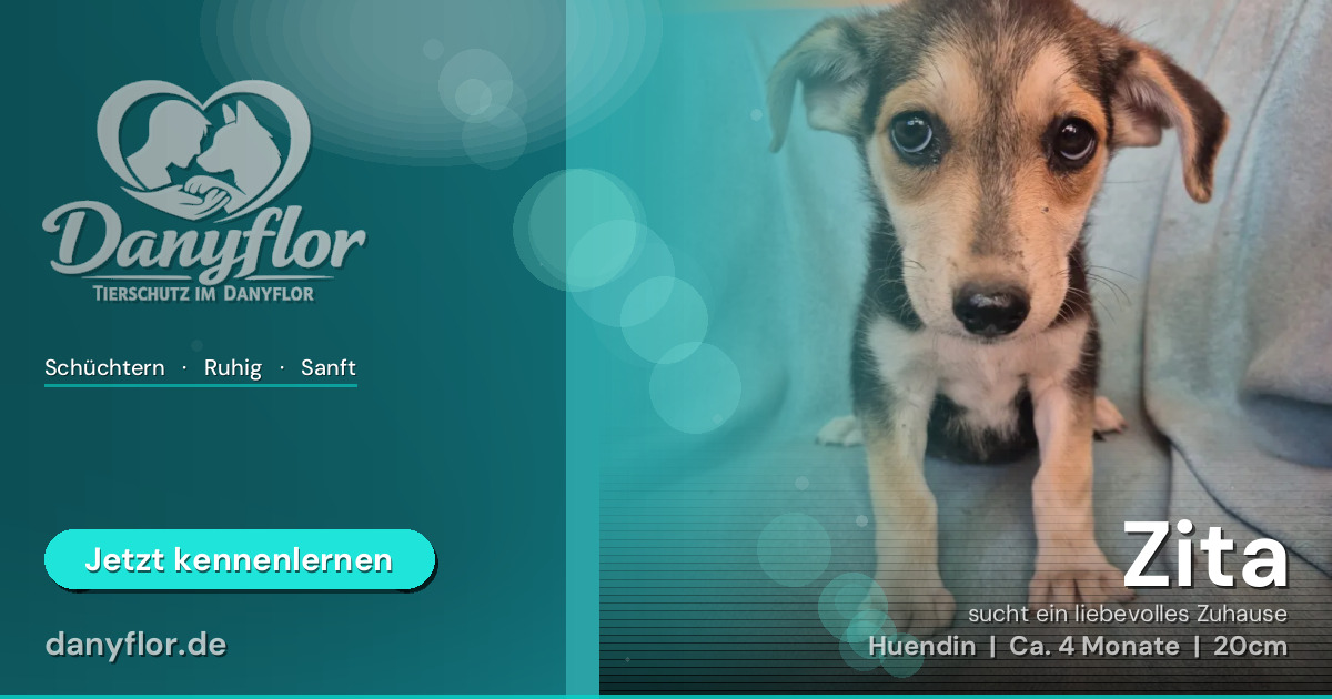 Facebook-Bild für Zita