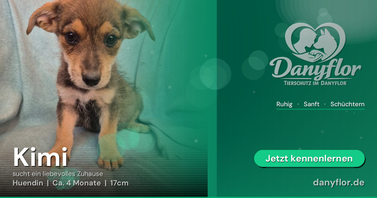Facebook-Bild für Kimi