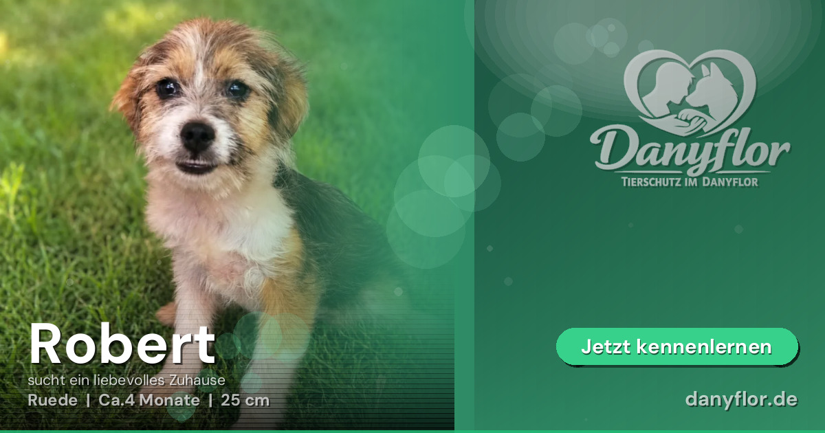 Facebook-Bild für Robert