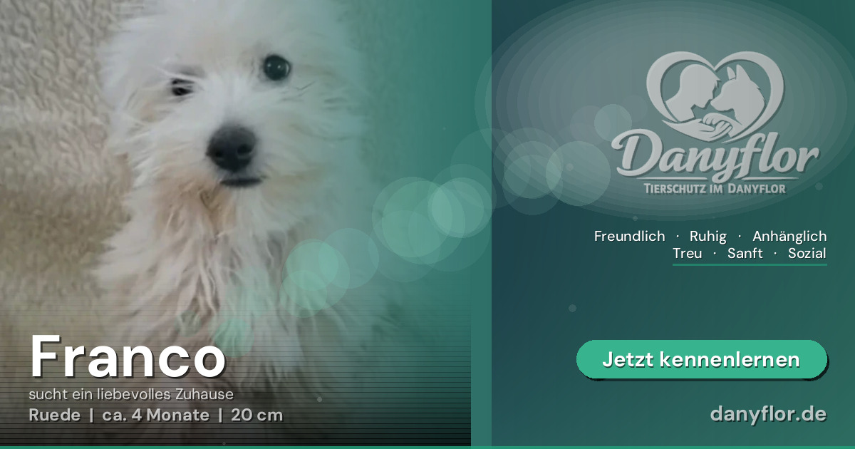 Facebook-Bild für Franco