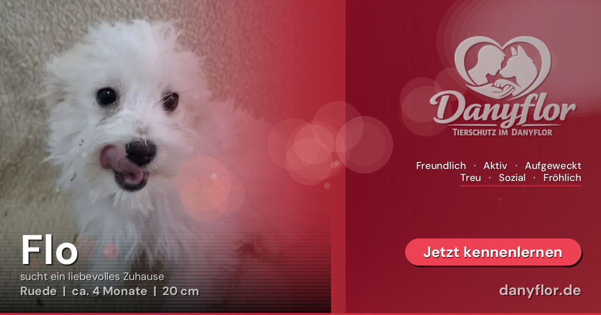 Facebook-Bild für Flo