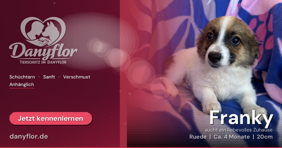 Facebook-Bild für Franky