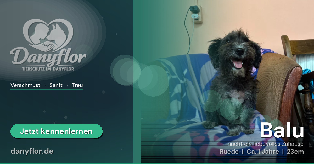 Facebook-Bild für Balu
