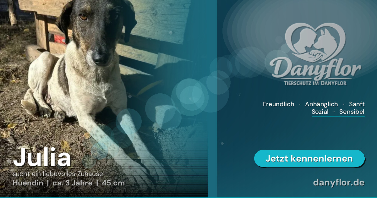 Facebook-Bild für Julia