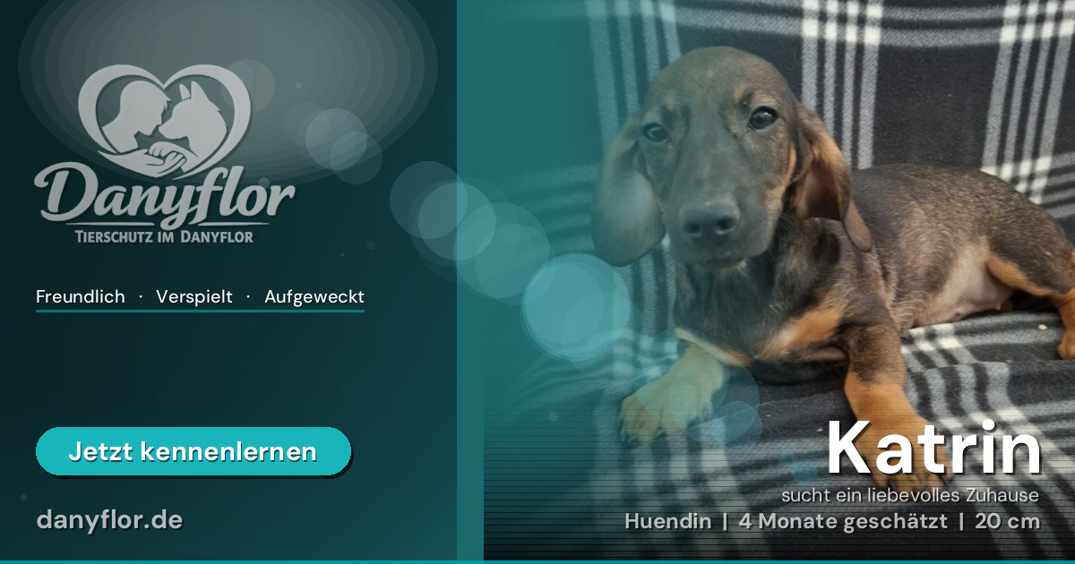 Facebook-Bild für Katrin