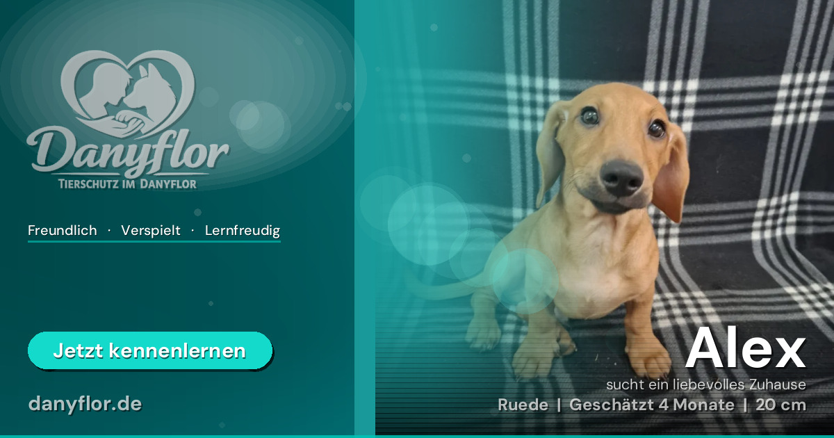 Facebook-Bild für Alex