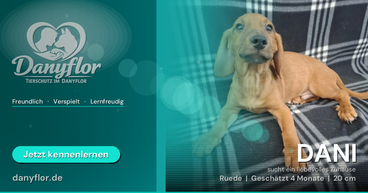 Facebook-Bild für DANI