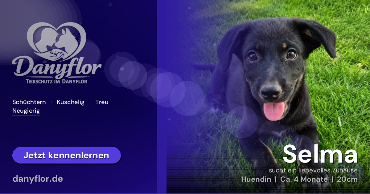 Facebook-Bild für Selma