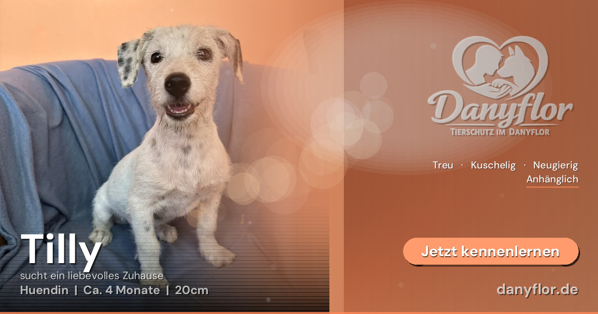 Facebook-Bild für Tilly