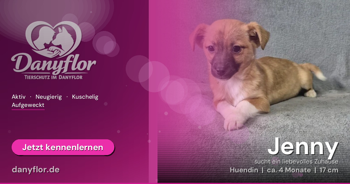 Facebook-Bild für Jenny