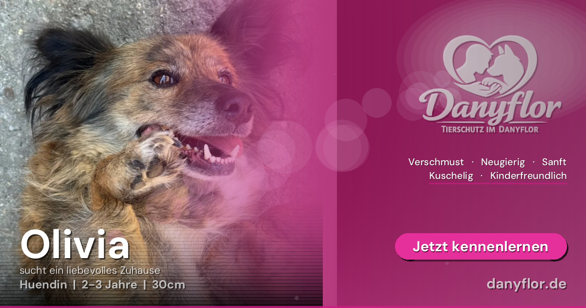 Facebook-Bild für Olivia