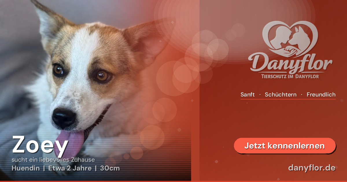 Facebook-Bild für Zoey